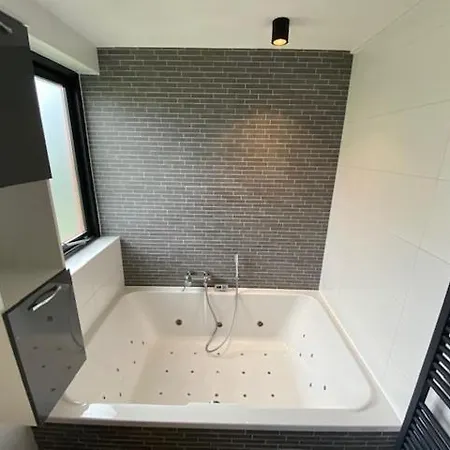 Badhuys Wellnes 2p Bubbelbad Sauna Stoombad Lakeview Vip Bungalow Op T Broeckhuys Met Wijds Uitzicht Ewijk